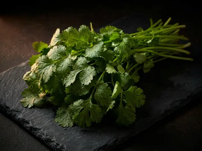 Coriander